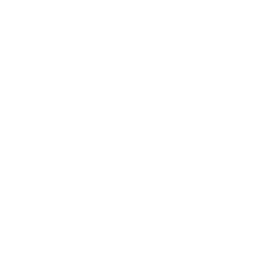Puni